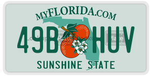 49BHUV license plate in Florida