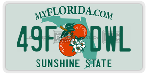 49FDWL  license plate in FL