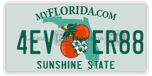 4EVER88  license plate in FL