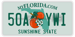 50AYWI  license plate in FL