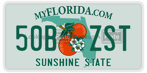 50BZST  license plate in FL