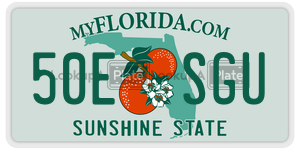 50ESGU  license plate in FL