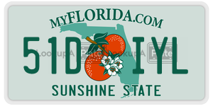 51DIYL  license plate in FL
