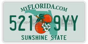 5219YY license plate in Florida