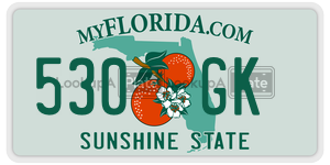 530GK  license plate in FL