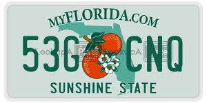 53GCNQ  license plate in FL