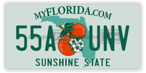 55AUNV license plate in Florida