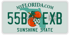 55BEXB  license plate in FL