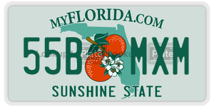 55BMXM license plate in Florida
