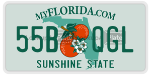55BQGL  license plate in FL