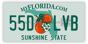 55DLVB  license plate in FL