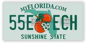 55EECH  license plate in FL