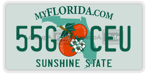 55GCEU license plate in Florida