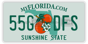 55GDFS  license plate in FL
