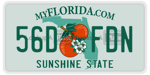 56DFDN license plate in Florida