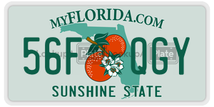 56FQGY  license plate in FL