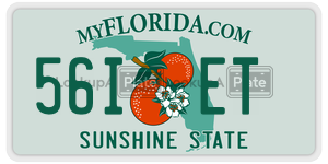 56IET  license plate in FL