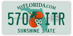 570ITR  license plate in FL