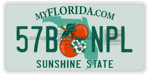 57BNPL license plate in Florida
