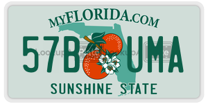 57BUMA  license plate in FL