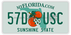57DUSC  license plate in FL