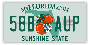 58BAUP license plate in Florida
