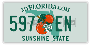 597EN license plate in Florida