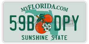 59BDPY  license plate in FL