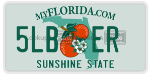 5LBER  license plate in FL
