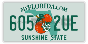 6052UE  license plate in FL