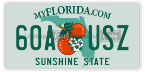 60AUSZ license plate in Florida