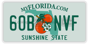 60BNVF  license plate in FL