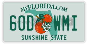60DWMI  license plate in FL