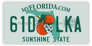 61DLKA  license plate in FL