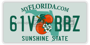 61VBBZ  license plate in FL