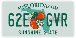 62EGVR  license plate in FL