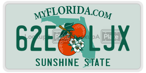 62ELJX  license plate in FL