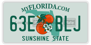 63EBLJ license plate in Florida