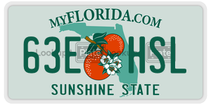 63EHSL license plate in Florida