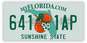 6411AP  license plate in FL