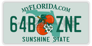 64BZNE license plate in Florida