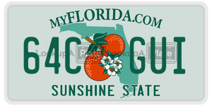 64CGUI license plate in Florida