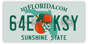 64EKSY license plate in Florida