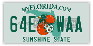 64EWAA license plate in Florida