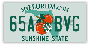 65ABVG  license plate in FL