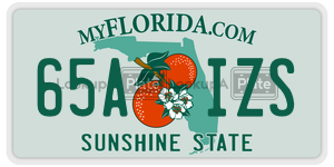 65AIZS license plate in Florida