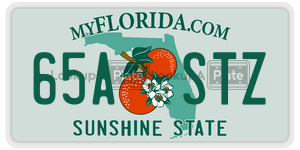 65ASTZ  license plate in FL