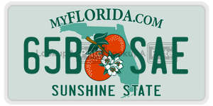 65BSAE  license plate in FL