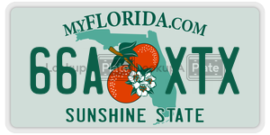66AXTX  license plate in FL