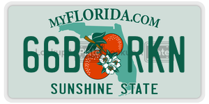 66BRKN  license plate in FL
